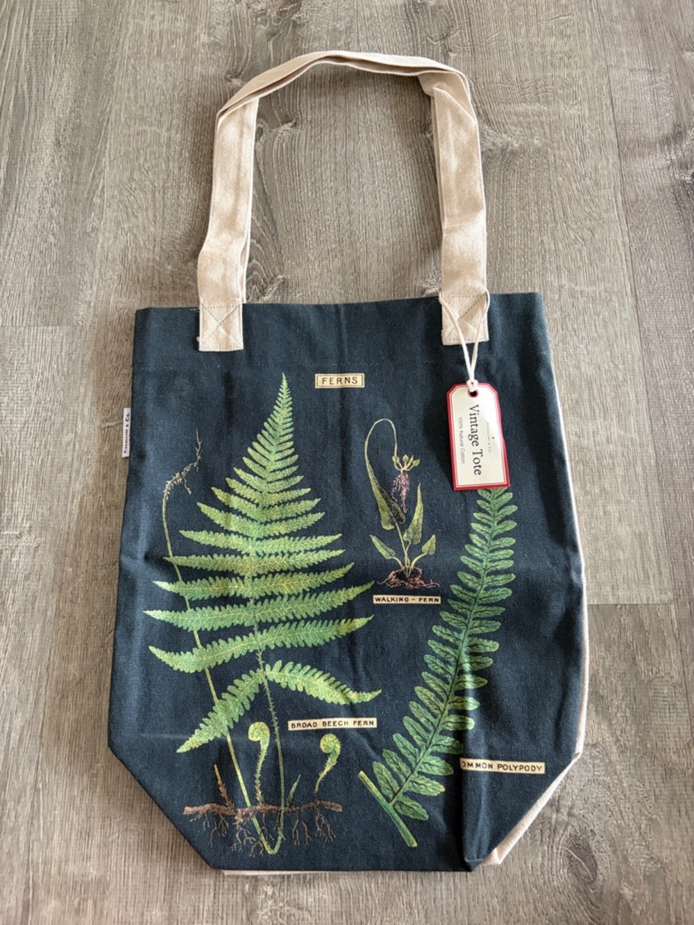Cavallini & Co. Fern Print Canvas Tote Bag